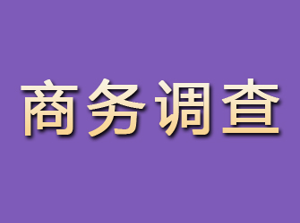 浦北商务调查